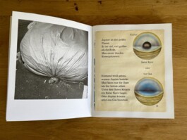 Lottchen Echo
