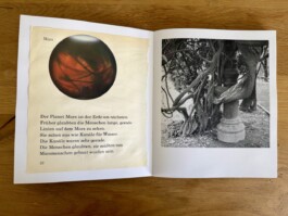 Lottchen Echo